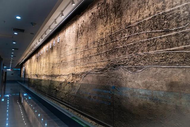 1元的包子，4块钱的蒸饺，这座城给人的幸福感怎么能这么高啊！