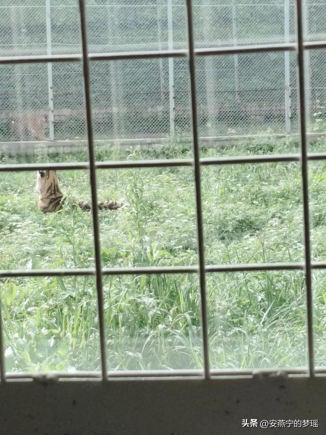 走进长春