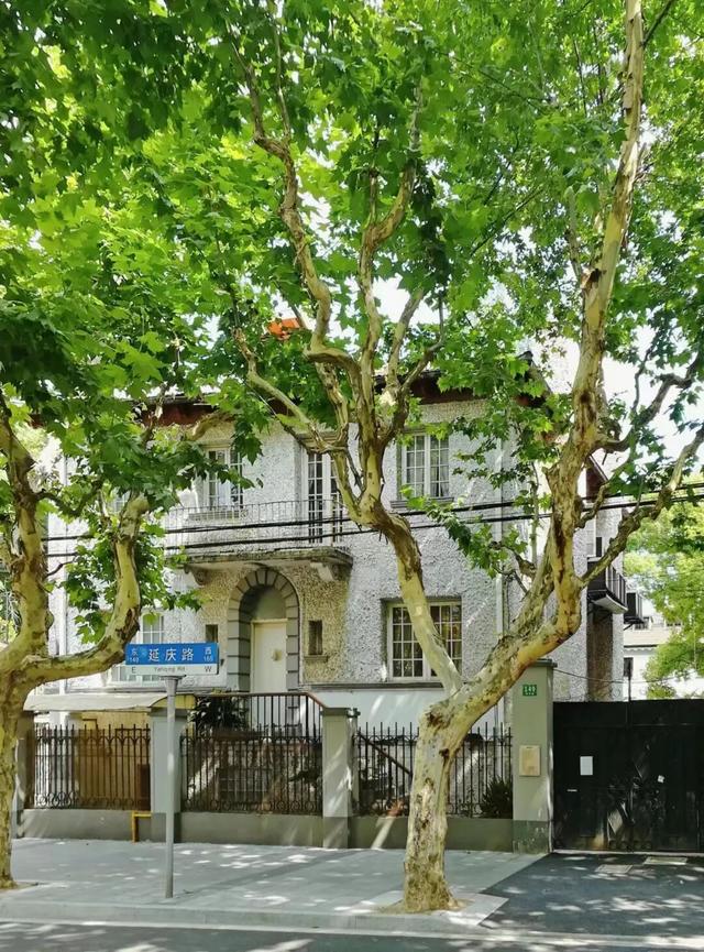 叮！你有一份上海秋日漫步地图待解锁→