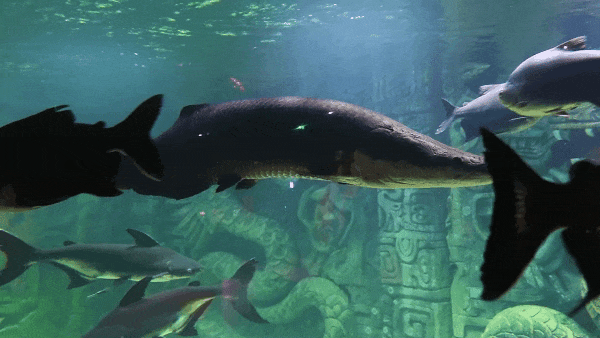 刷爆番禺人朋友圈的新地标，18000㎡的空间究竟藏着什么？