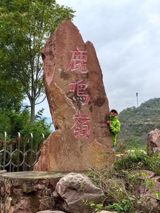 雾锁风挡山，红叶引客来