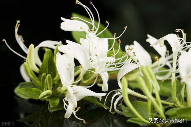 认识大美河南的每个县——第27波：封丘