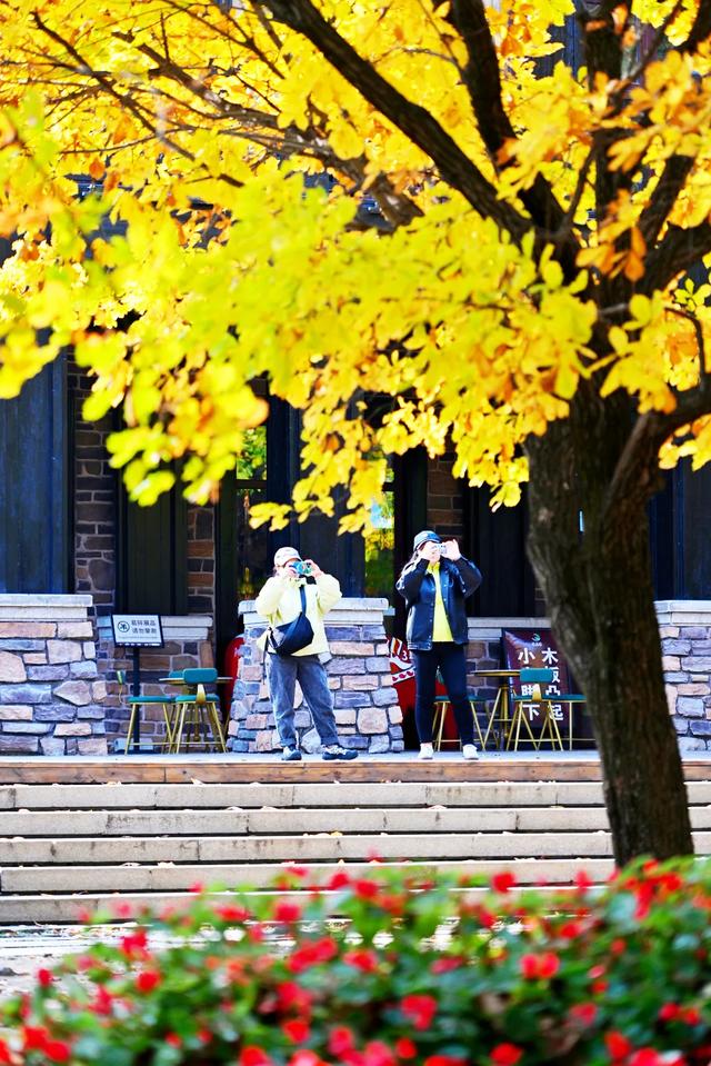 重阳节,净月潭免票!