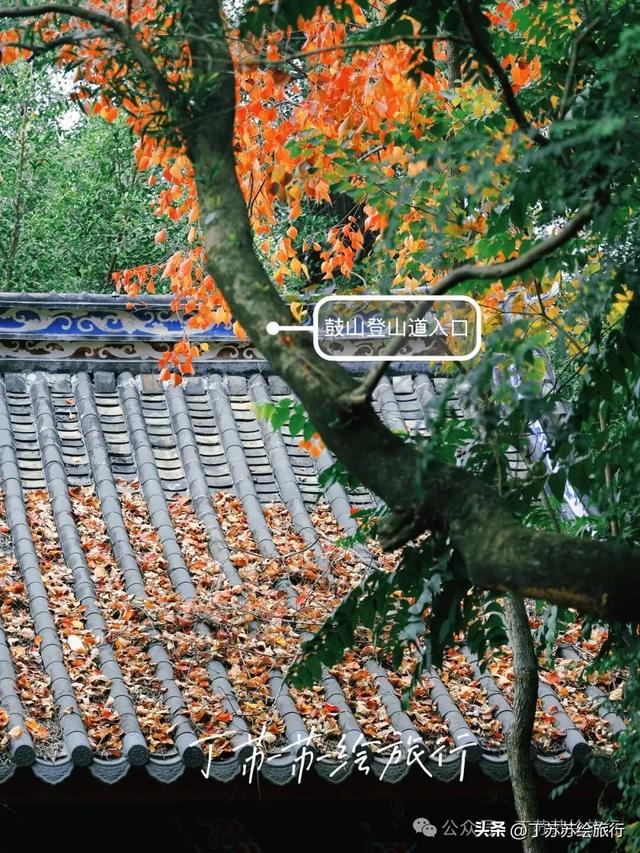 福州马拉松都下班了，爬鼓山还火到排队‼️福州鼓山登山路线攻略