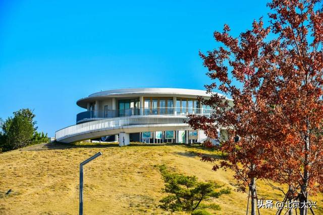 限定上新！大兴的秋景一眼心动🥰🥰