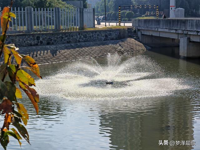 生物浮岛扮靓云梦水域 初冬亲水空间引客来