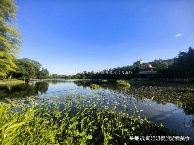 东山湖冬天最佳游玩地：拍广州风景一线天，还是候鸟观赏圣地