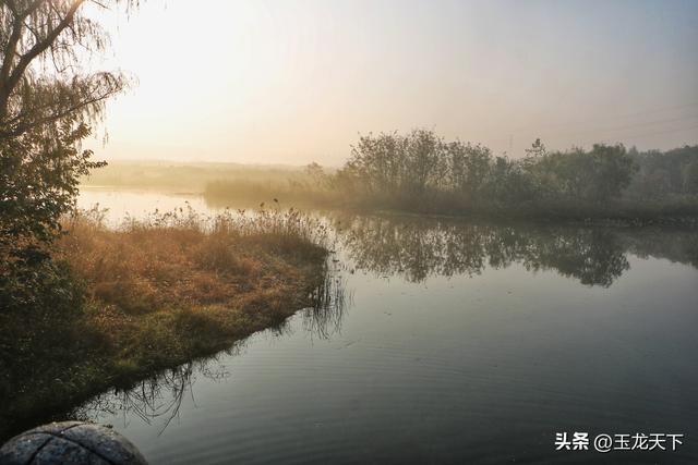 晨光与深呼吸：在同里湿地公园的万步悠然