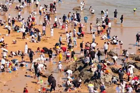 壮观！落大潮，日照再现万人赶海！图片