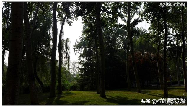 山东行游影记（15）—济南山东大学（二）