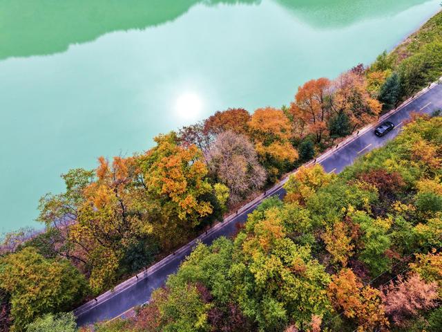 当晚秋遇见官鹅沟……