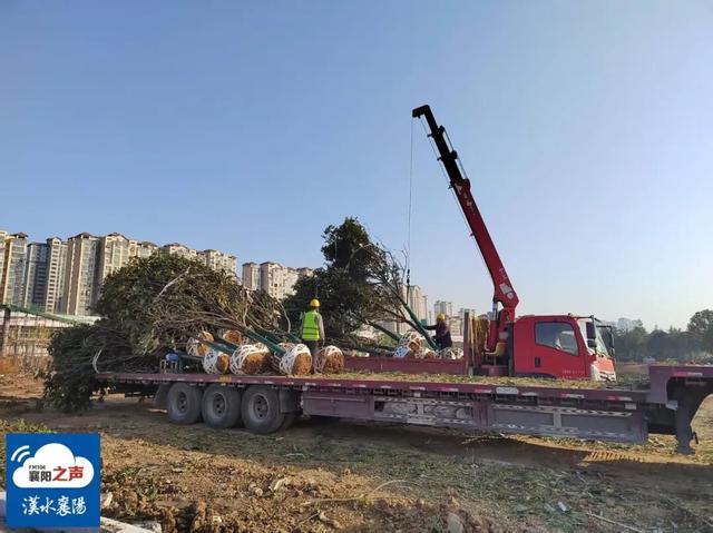 春节开放！襄阳规模最大自然湖泊公园……