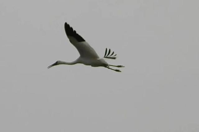 事关跨年！切记：余杭这里，不约！不约！