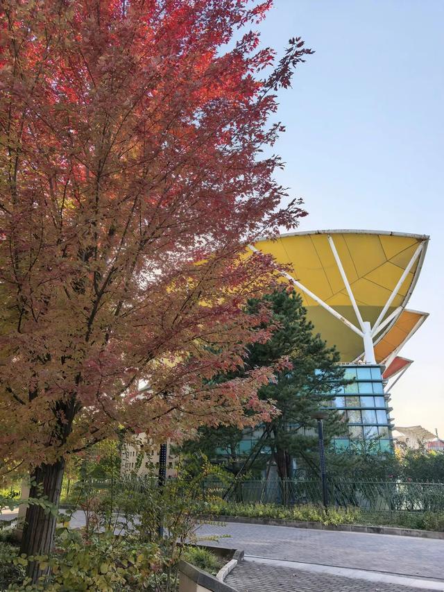 在顺义这些宝藏公园邂逅斑斓秋景——