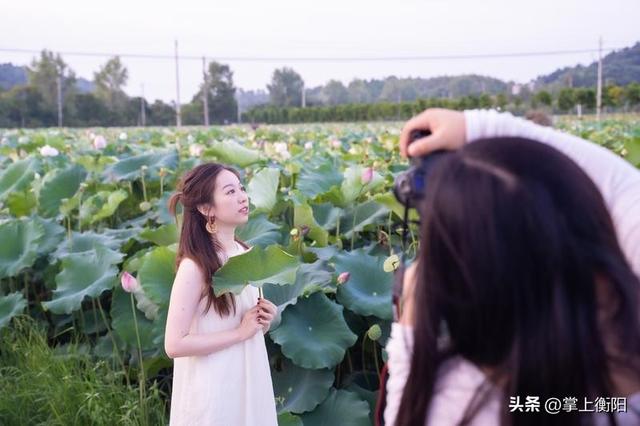 湖南衡阳周边赏荷、K歌、遛娃一站搞定，周末冲！