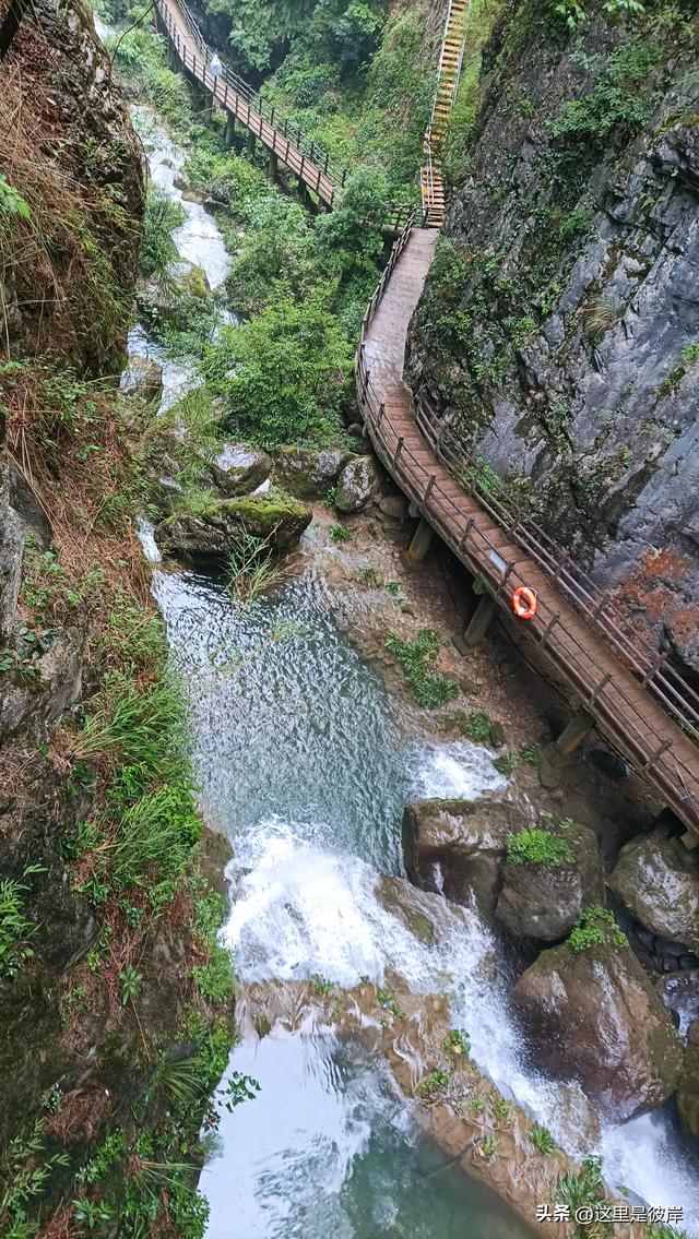 带着老爸乘宣威客运巴士去尼珠河大峡谷