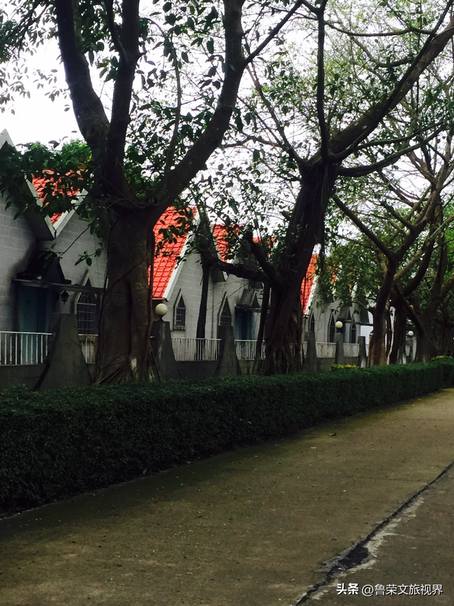 隐匿在广东的冬日秘境：恩平，一座20℃暖冬里的温柔小城