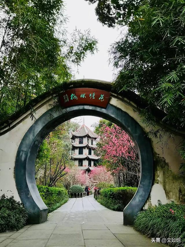 散文随笔：遇见成都
