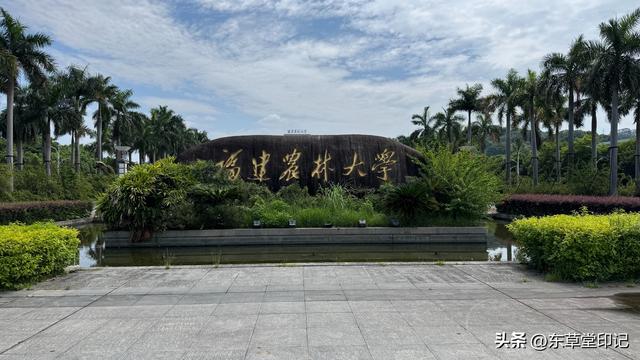 探秘福建农林大学苍山校区：不只是颜值爆表！