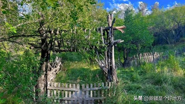 私藏昌吉6个晒秋好去处，分享给你！