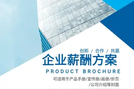 不愧是年薪百万的总经理！这套“薪酬方案”太牛了！佩服图片