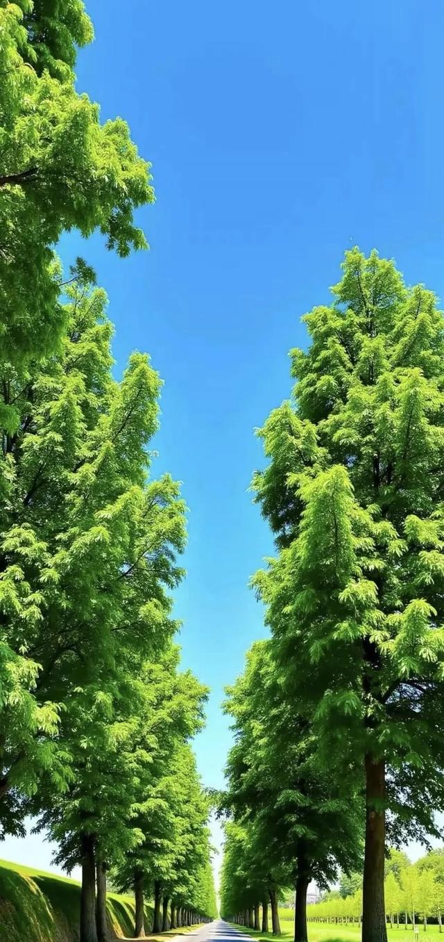 #美景 #好风景 #自然风光