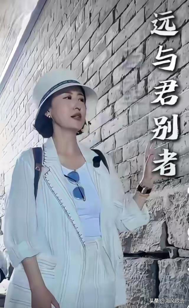 张蕾一身素白走雁门关古道，城砖上的刻痕，竟全是历史干货