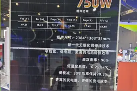 SNEC 2024“火爆”开展：组件、逆变器、支架等新品大集结！图片