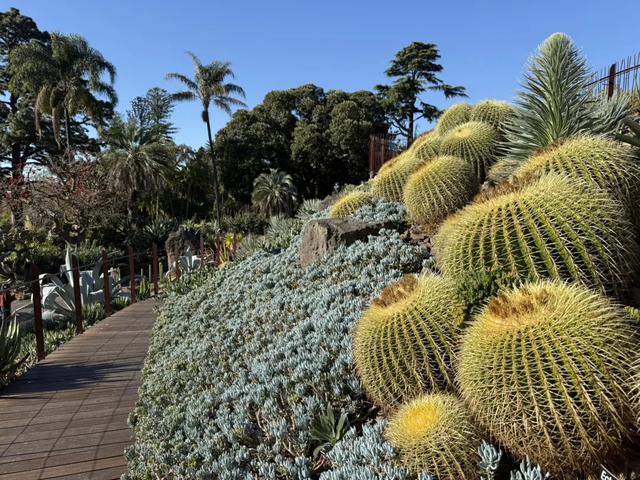 澳大利亚22日世界文化遗产与自然之旅游记