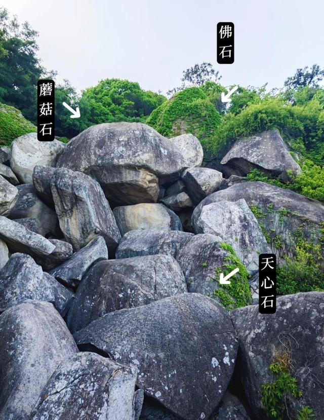 厦门东坪山天心谷，以其独特的心形巨石而闻名，岛内户外六谷之一