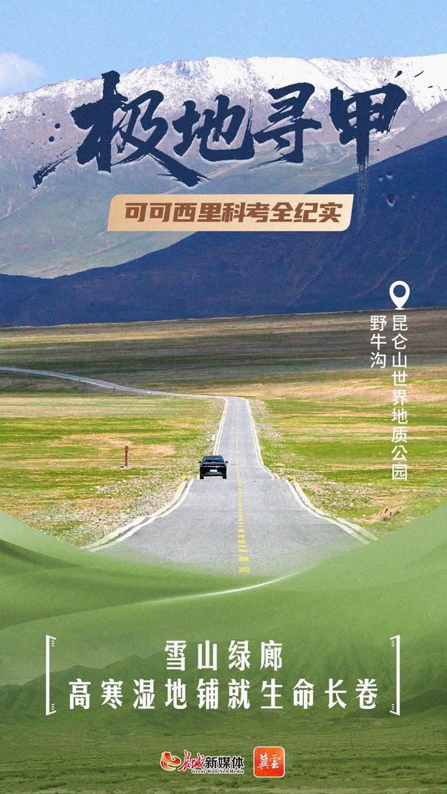 海报集 | 虫迹天路，可可西里生命密码——风光篇