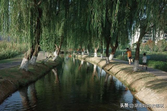 长沙人有自己的“东方明珠”？初秋，带娃往高处去！