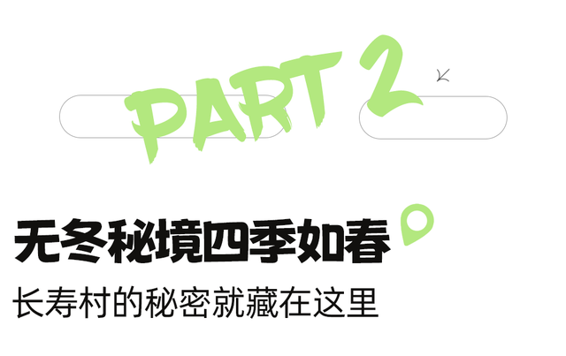 比西昌人少，比昆明更近！高铁直达20℃小众春城，赏花摘果泡温泉！3元草莓吃到撑~