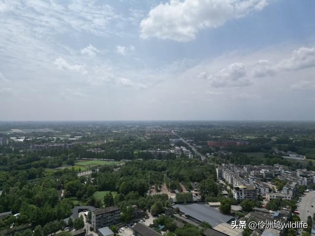 成都古镇（15）郫县唐昌古镇崇宁公园·大椿巷