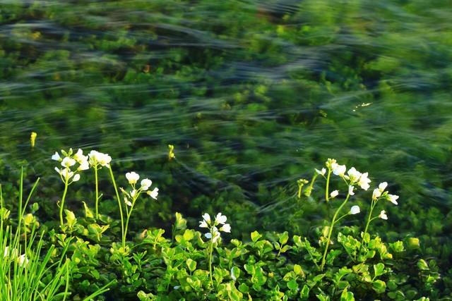 两性关系: 一旦过了68岁，哪怕身体再好，也要注意这5个“活细节”