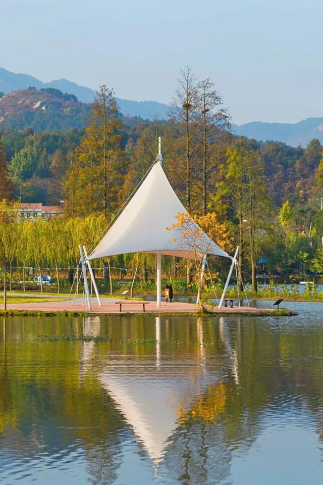 黄陂人的周末私藏：木兰玫瑰园里藏着最松弛的亲子时光！