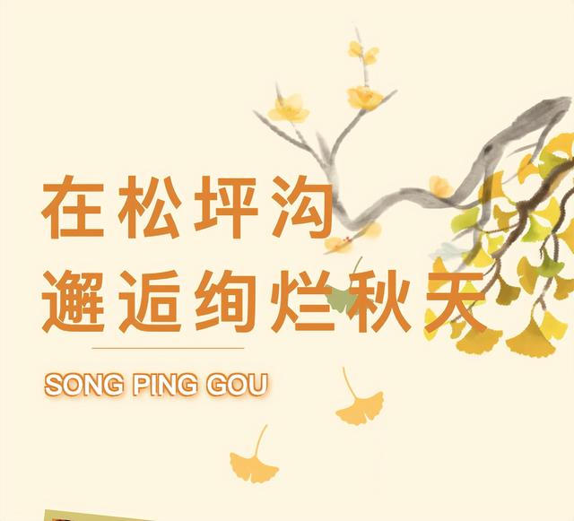 秋天的仪式感，是松坪沟给的！收下这份徒步攻略，邂逅绚烂彩林。