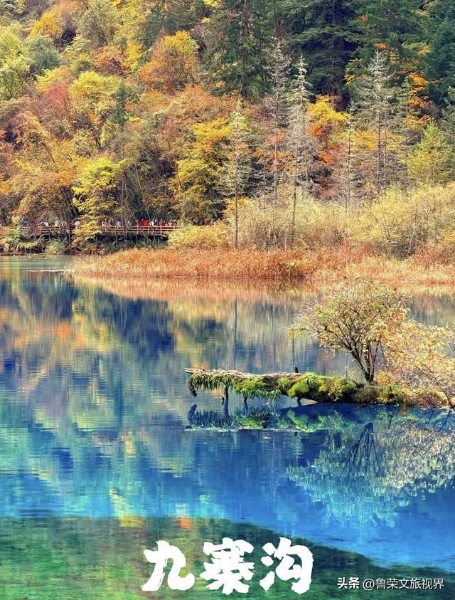 川西秋韵长卷：从九寨秘境到古城烟火