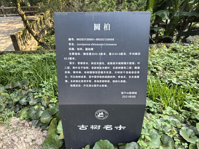 浙江湖州市德清县莫干山国家风景名胜区游记（下）