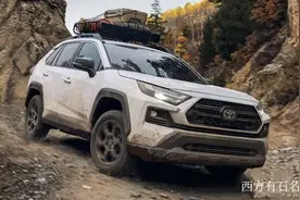 廉颇老矣，尚能饭否？聊聊丰田rav4荣放的缺点和问题图片