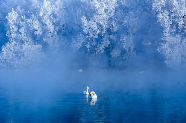 “魅力伊宁·和美杏乡”2025伊宁县文旅推介会在成都成功举办