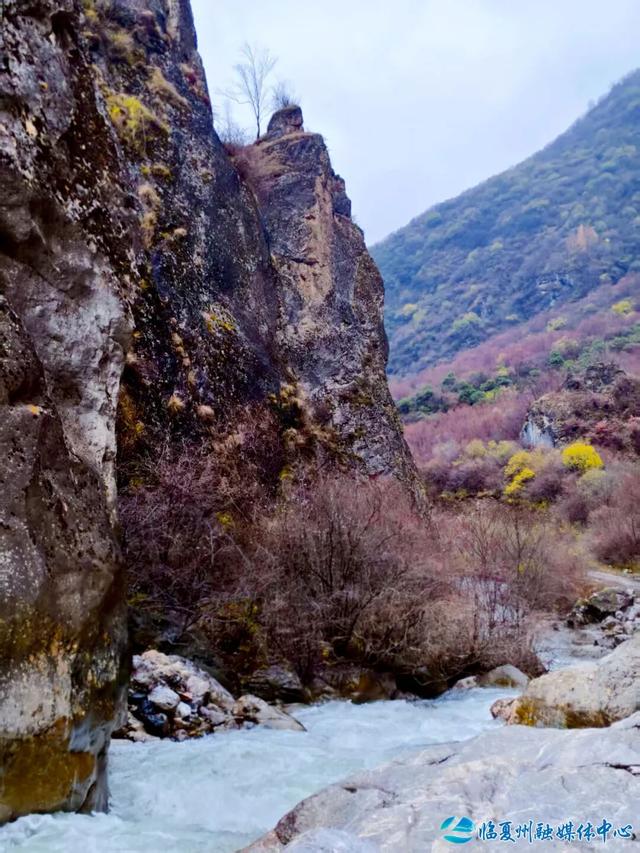 雪落之前留存的秋色