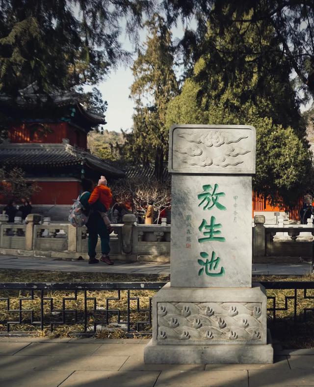 没想到北京卧佛寺 千年铜佛旁求offer 皇家寺庙成新晋求职打卡