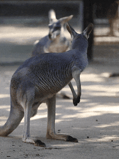 好客山东好品山东｜临沂遛娃去哪儿？初冬攻略收藏就出发～