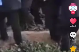 万恶不赦！看到死去孩子的头颅，就知道三个小恶魔当时下手有多狠图片