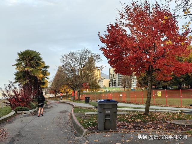 温哥华游记（一）