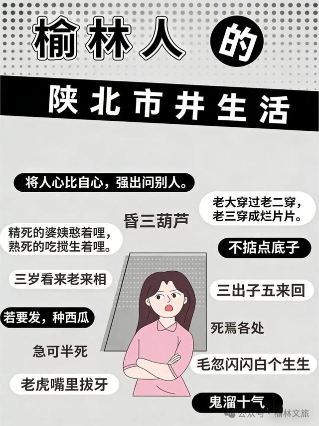 这个冬天，不敢带你回榆林！