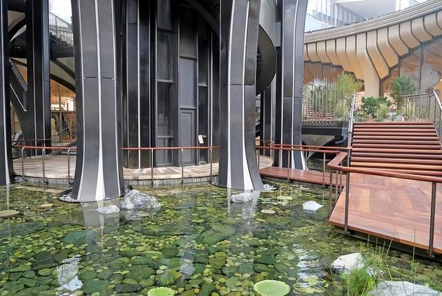 打卡西安“生命之树”空中植物园
