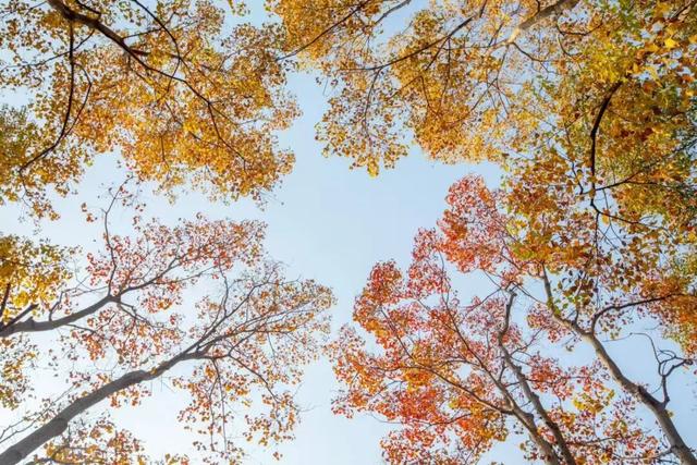 江阴版“西红柿炒蛋”，上线了！