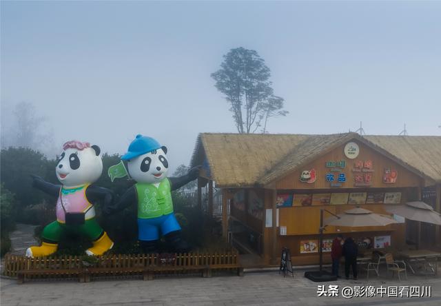 四川雅安：碧峰峡风光旖旎引客来